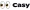 Casy Space